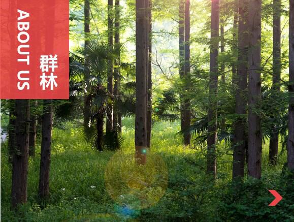 什么叫刨花板？