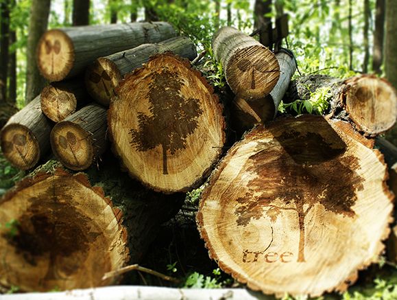 什么叫刨花板？